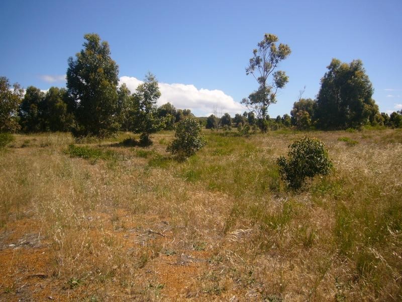 Lot 74/ Tranquil Drive, Esperance WA 6450