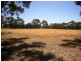 Lot 11/ Kimbarra Close, Esperance WA 6450