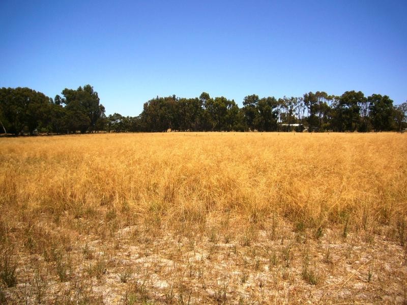 Lot 11/ Kimbarra Close, Esperance WA 6450