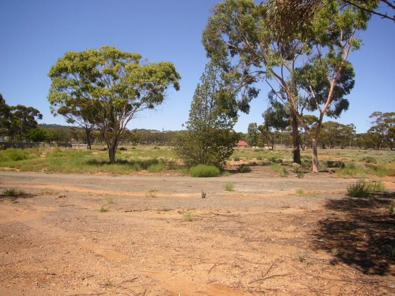 148 ROBERTS STREET, Norseman WA 6443