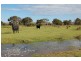 Lot 746/ Telegraph Road, Esperance WA 6450