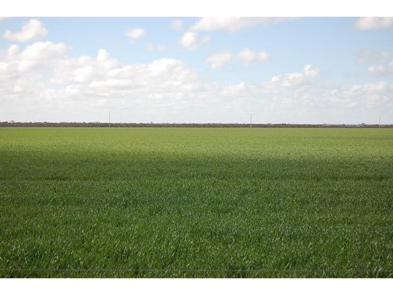 Lot 1527/ Grass Patch West Road, Lort River WA 6447