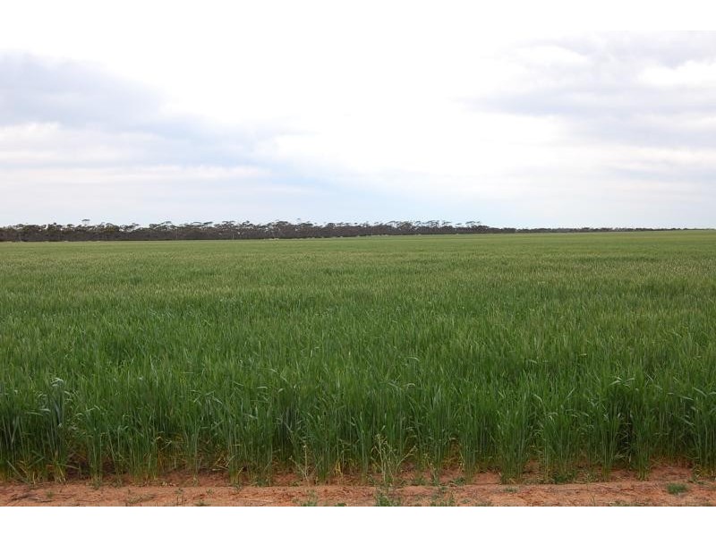 Lot 1629/ Rollond Road, Lort River WA 6447