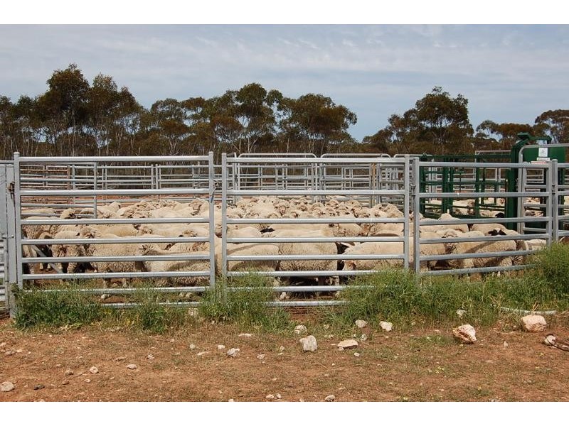 Lot 1629/ Rollond Road, Lort River WA 6447