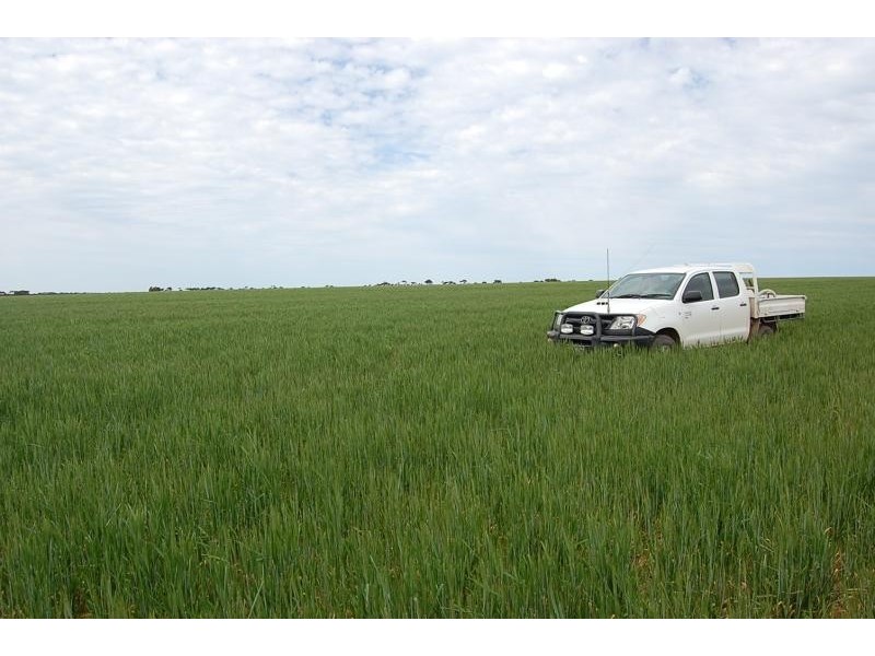 Lot 1629/ Rollond Road, Lort River WA 6447