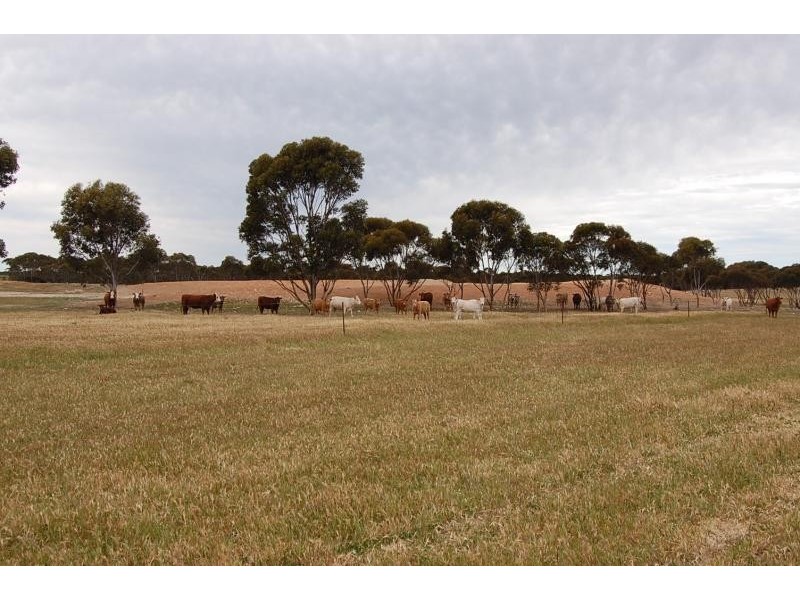 Lot 1629/ Rollond Road, Lort River WA 6447