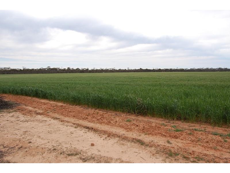 Lot 1629/ Rollond Road, Lort River WA 6447