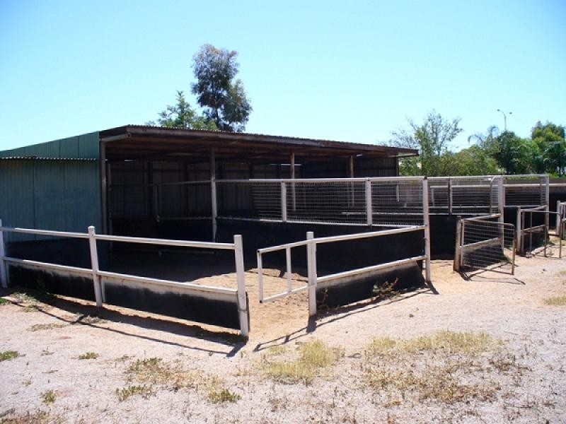 428 EGAN STREET, Kalgoorlie WA 6430