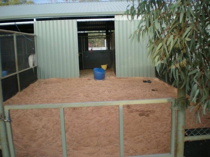 16 Woodley Street, West Lamington, Kalgoorlie WA 6430