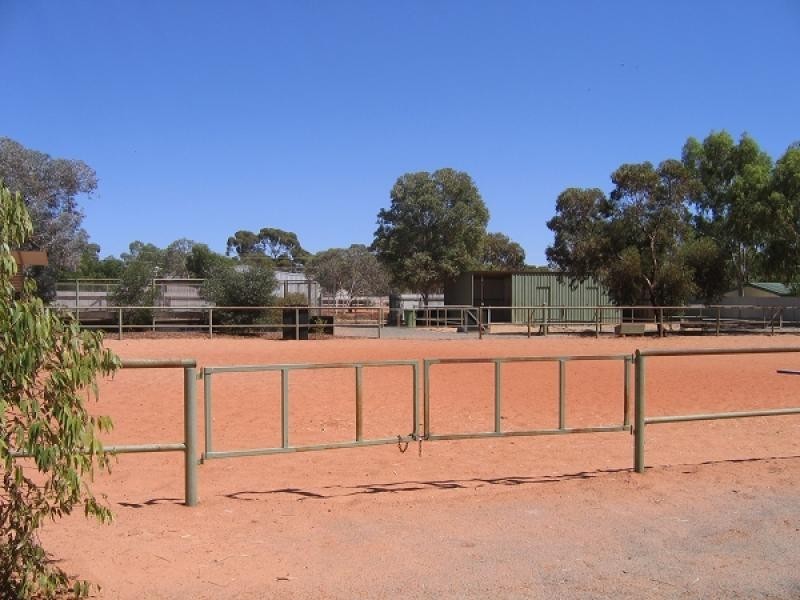 16 Woodley Street, West Lamington, Kalgoorlie WA 6430