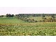 WALLOWAY, Badgingarra WA 6521