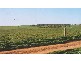 WALLOWAY, Badgingarra WA 6521