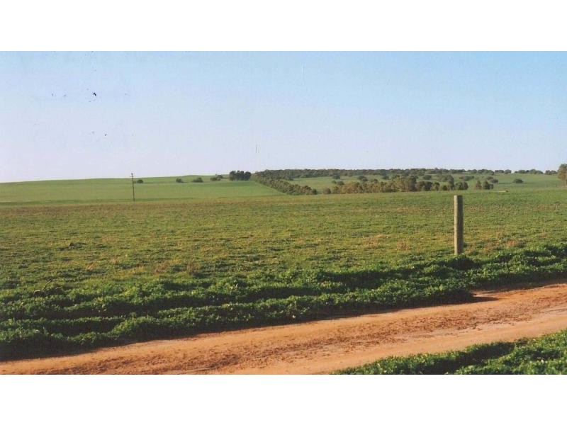 WALLOWAY, Badgingarra WA 6521