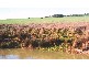 WALLOWAY, Badgingarra WA 6521