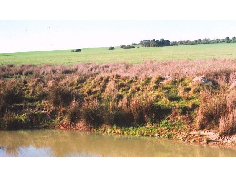 WALLOWAY, Badgingarra WA 6521