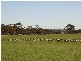 Harrismith WA 6361
