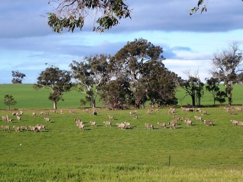 368 Cooraminning Road, Narrogin WA 6312