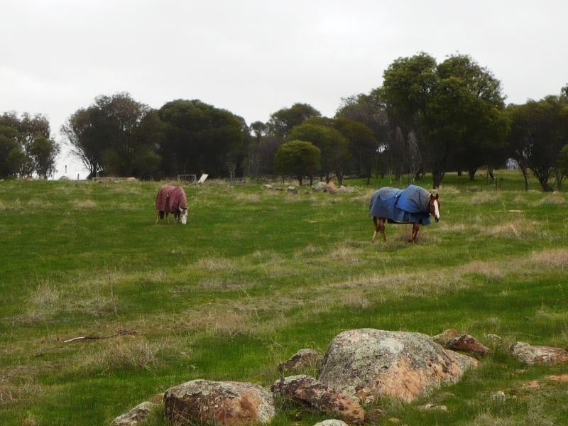 Lot 235/ Hart Street, Cuballing WA 6311