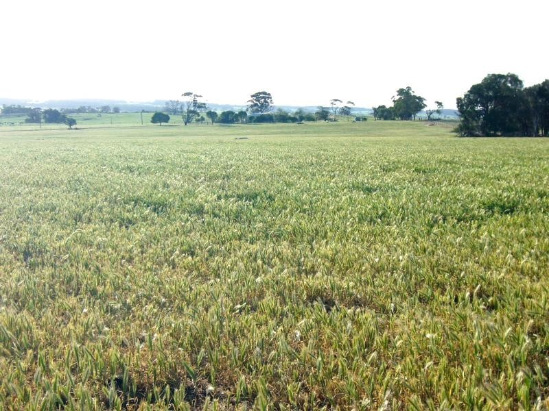 8 Brown Road, Narrogin WA 6312