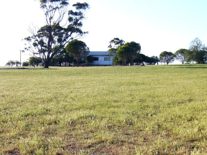 8 Brown Road, Narrogin WA 6312