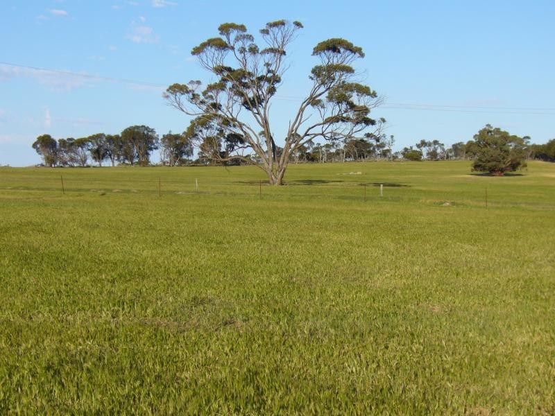 8 Brown Road, Narrogin WA 6312