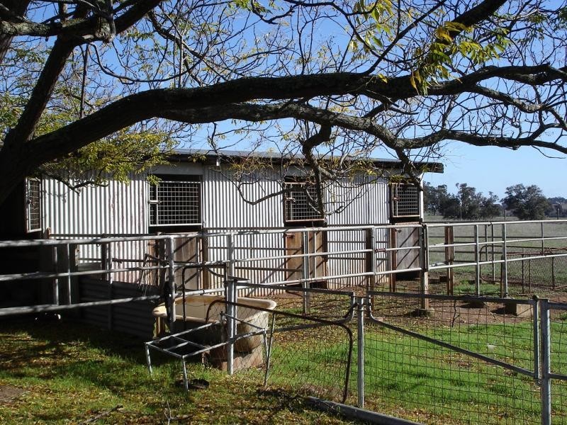 Lot 973/202 Curtis Road, Narrogin WA 6312