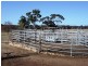 Lot 973/202 Curtis Road, Narrogin WA 6312