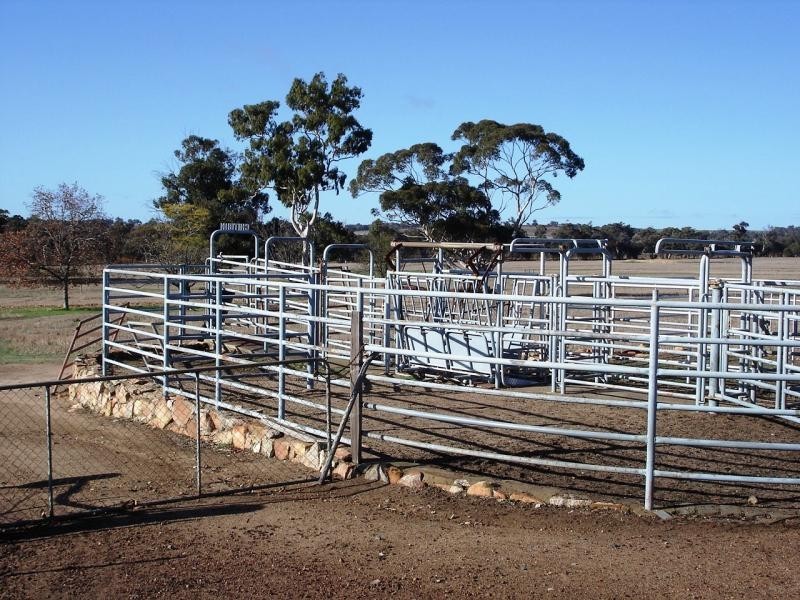 Lot 973/202 Curtis Road, Narrogin WA 6312