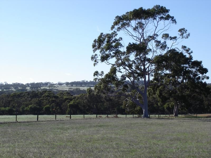 Lot 973/202 Curtis Road, Narrogin WA 6312