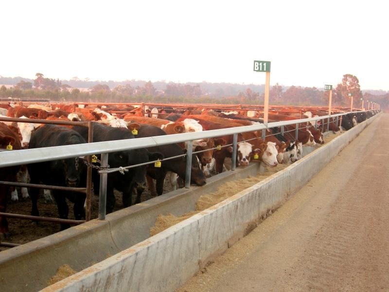 5563 Waneri Road, Narrogin WA 6312