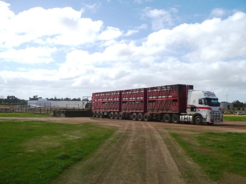 5563 Waneri Road, Narrogin WA 6312