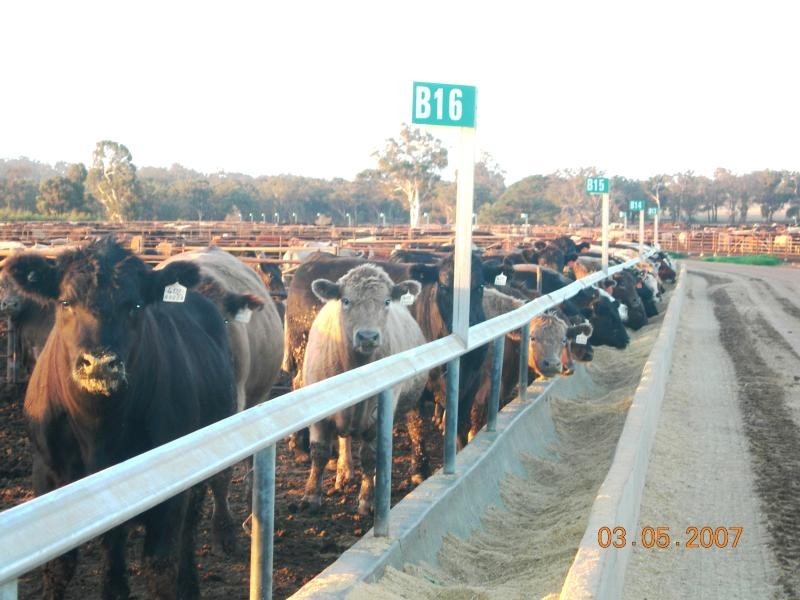 5563 Waneri Road, Narrogin WA 6312