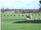 Wagin WA 6315