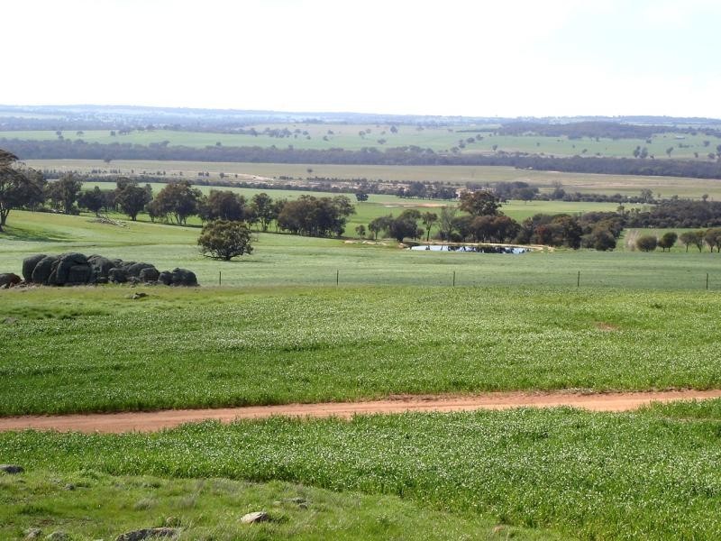 Wagin WA 6315