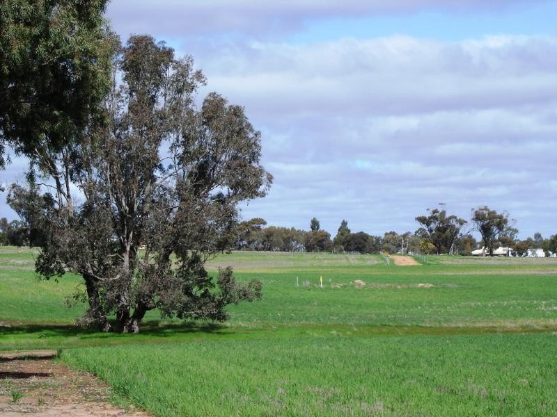 21 Callan Way, Narrogin WA 6312