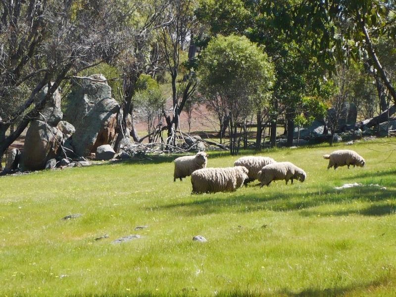 Lot 271/ Quigley Street, Narrogin WA 6312