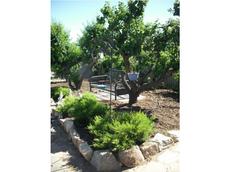 61 Falcon Street, Narrogin WA 6312