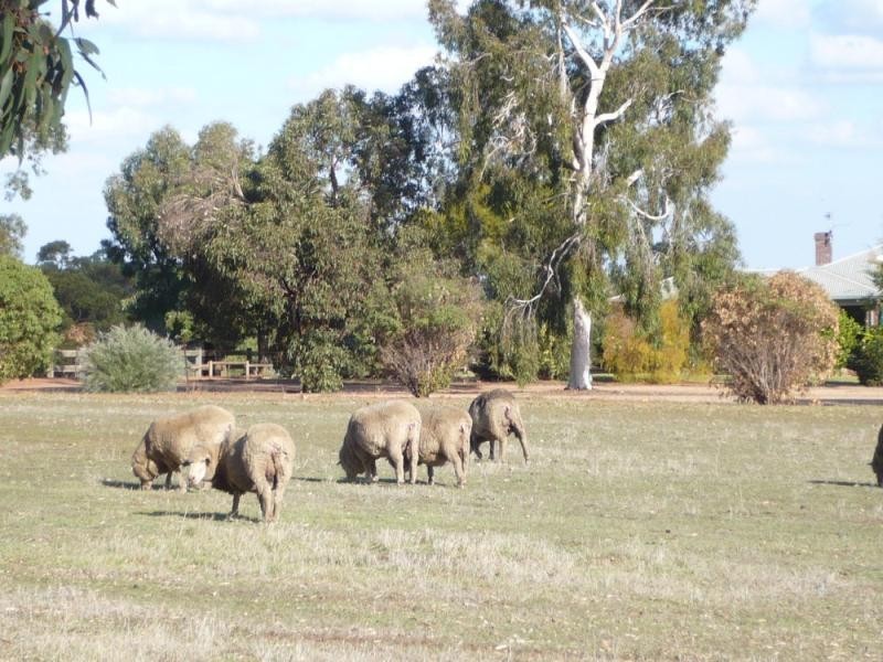 Lot 15/17948 Great Southern Highway, Narrogin WA 6312