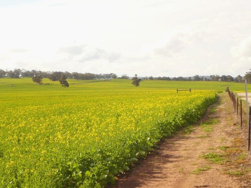 1036 Piesseville Tarwonga road, Arthur River WA 6315 the real estate