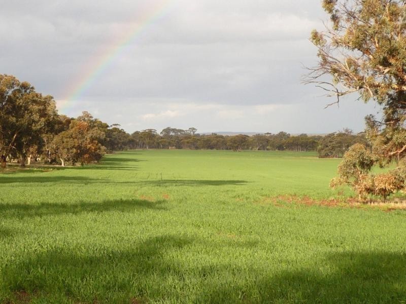 1036 Piesseville Tarwonga road, Arthur River WA 6315 the real estate