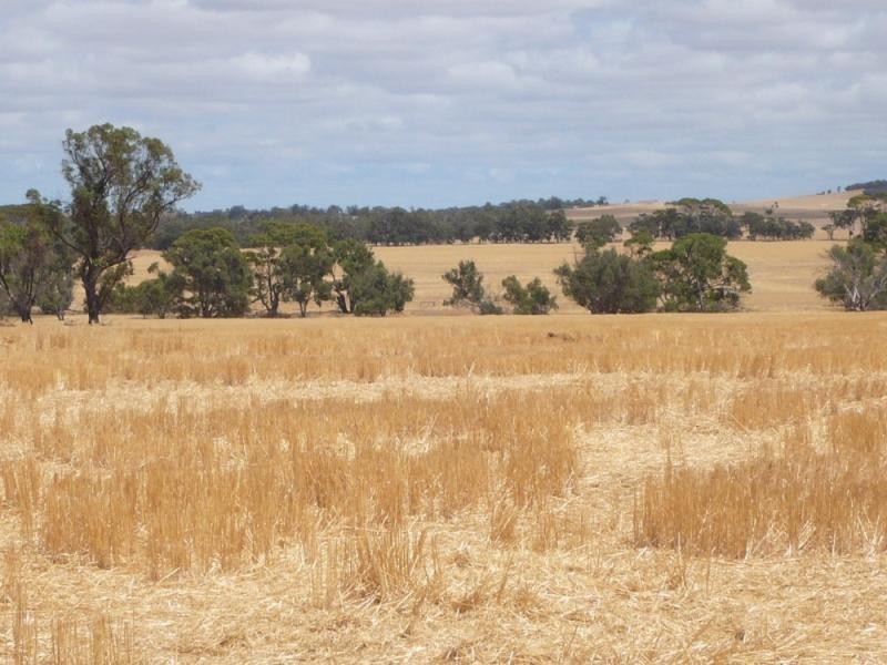 1036 Piesseville Tarwonga road, Arthur River WA 6315 the real estate agency Withdrawn