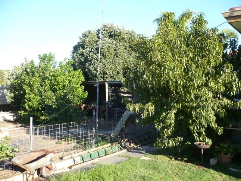 37 Fox Street, Narrogin WA 6312