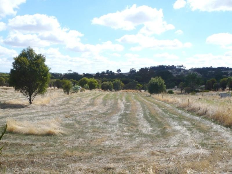 Williams WA 6391