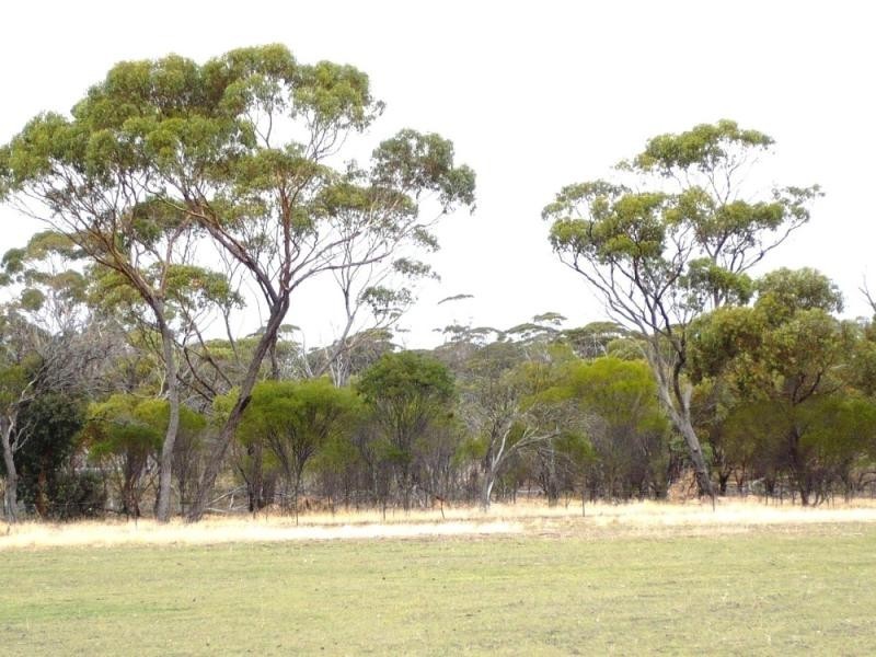 85 Vince Street, Piesseville WA 6315