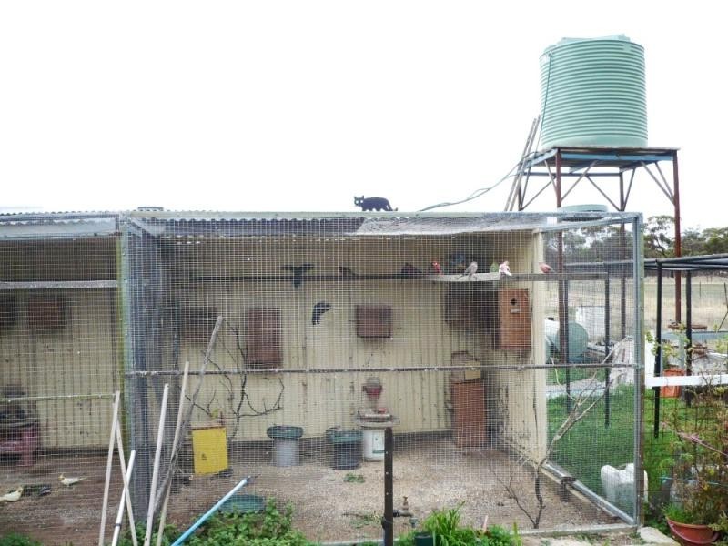 85 Vince Street, Piesseville WA 6315