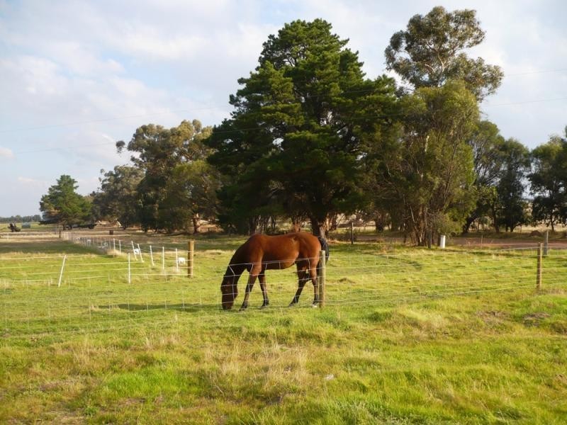 701 Narrogin Valley Road, Narrogin WA 6312