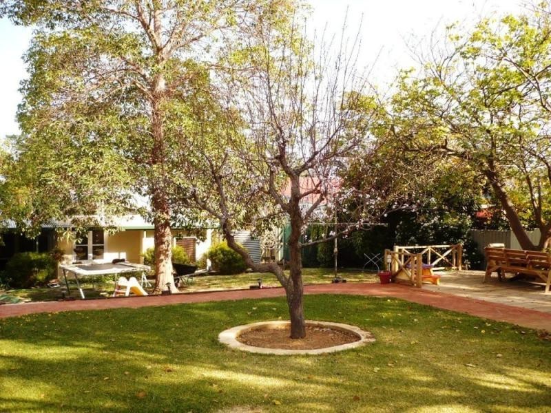 31 Argus Street, Narrogin WA 6312