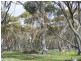 Lot 2560/ Great Southern Highway, Highbury WA 6313