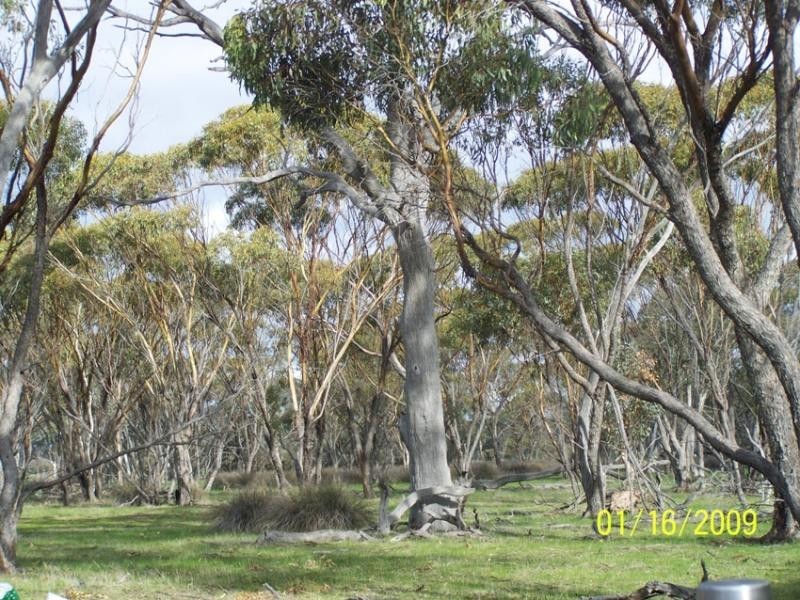Lot 2560/ Great Southern Highway, Highbury WA 6313
