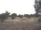 189 WILSON STREET, Meckering WA 6405